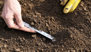 Les projets de jardinage, qu’ils soient modestes ou ambitieux, demandent une planification minutieuse, notamment lorsqu’il s’agit de manipuler la terre. Calculer précisément le volume de terre nécessaire en mètres cubes (m³) est une étape cruciale pour éviter le gaspillage, maîtriser […]